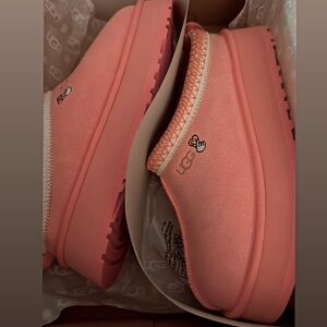 TAZZ Valentine 💘 UGG